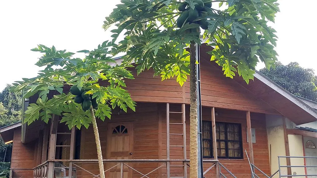 Cottage Mango Castara 0*,
